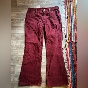 womens wrangler pants